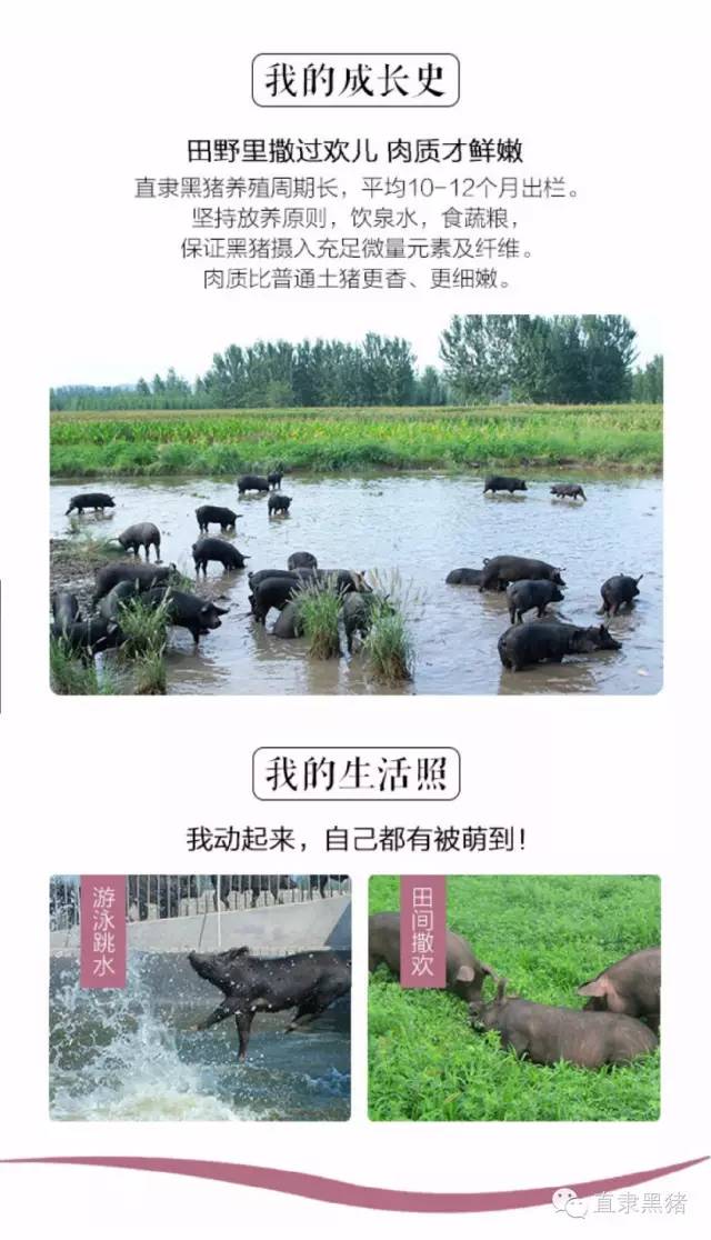 MU:网站文件:20160907161520243043.jpg;原始文件:64018.jpg